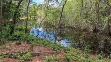 There is a 15 foot wide easement to the property. Imagine waking - photo 6