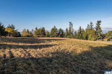 Beautiful 1.1 acre building lot near the top of Bell Hill in - photo 26