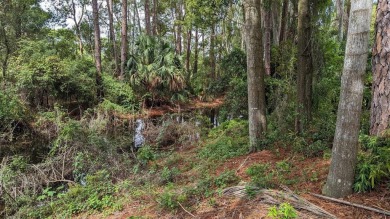 There is a 15 foot wide easement to the property. Imagine waking - photo 7