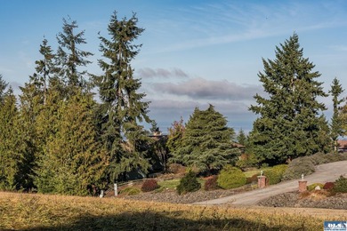 Beautiful 1.1 acre building lot near the top of Bell Hill in - photo 27