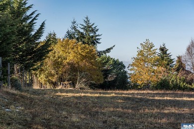 Beautiful 1.1 acre building lot near the top of Bell Hill in - photo 28
