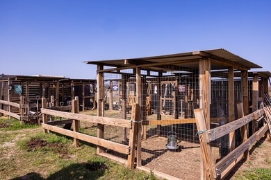 Experience the perfect blend of peaceful country living and