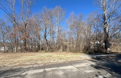 Lake Lot For Sale in Morristown, Tennessee