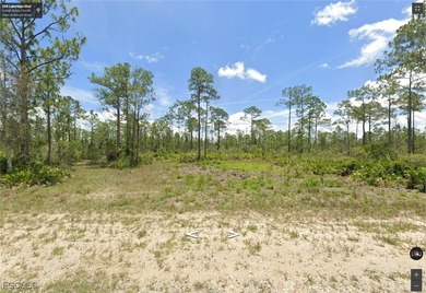 Lehigh Acres Area Lot For Sale in Lehigh Acres Florida