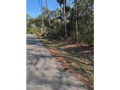 Walking distance to the beach in Pass Christian. Beautiful quiet - photo 4