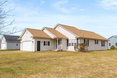 Long Lake - Kalamazoo County Home For Sale in Scotts Michigan