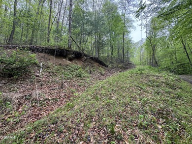 French Broad River Acreage For Sale in Del Rio Tennessee