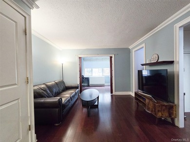 1bed, 1beth , can be Jr 4 ! use like 2 bed rooms or separate - photo 6