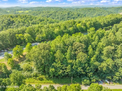 LOTS 1-3 ARE LISTED TOGETHER: MLS #1342868 Located in the scenic - photo 12