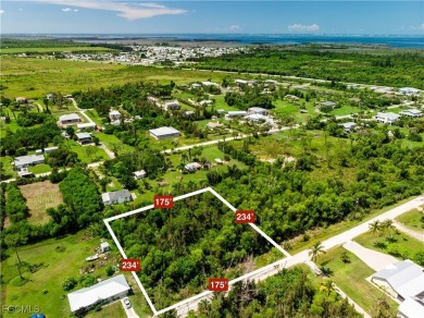Discover the perfect canvas for your dream home at 4549 Gulf - photo 1