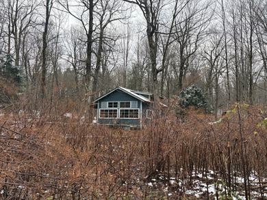 Lake Home For Sale in Burke, New York