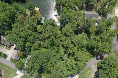 Lake Lot For Sale in Burkeville, Texas