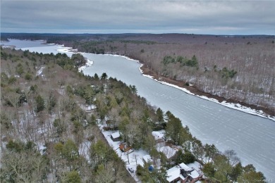 Swinging Bridge Lake Home For Sale in Monticello New York