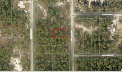 Lake Lot For Sale in Dunnellon, Florida