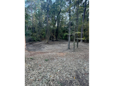 This rare opportunity offers high-visibility Highway 6 frontage - photo 4
