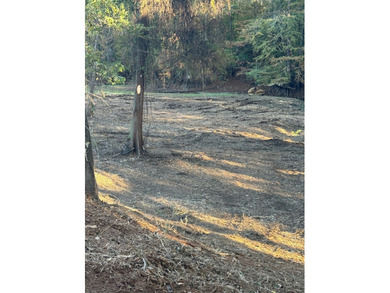 This rare opportunity offers high-visibility Highway 6 frontage - photo 7