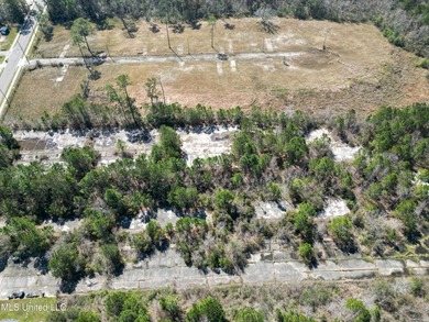 Prime Land for Sale in the Heart of Waveland! Location: 1705 - photo 6