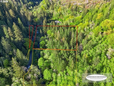 Own a piece of paradise on the upper North Fork River.Zoned F2 - photo 11