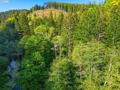 Own a piece of paradise on the upper North Fork River.Zoned F2 - photo 16