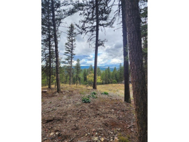 Lake Acreage For Sale in Seeley Lake, Montana