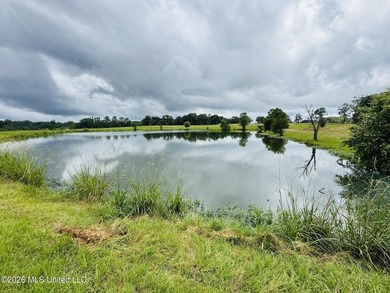 Discover peaceful country living in the heart of the Gillsburg - photo 35