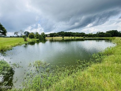 Discover peaceful country living in the heart of the Gillsburg - photo 37
