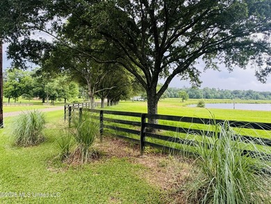 Discover peaceful country living in the heart of the Gillsburg - photo 40