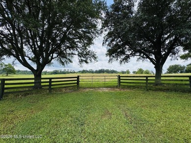 Discover peaceful country living in the heart of the Gillsburg - photo 41
