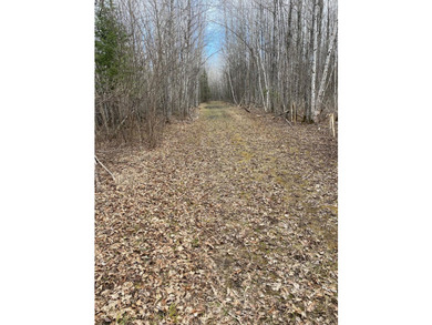 Amazing opportunity to own 119 acres of prime wooded real estate - photo 3