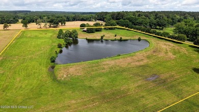 Discover peaceful country living in the heart of the Gillsburg - photo 46