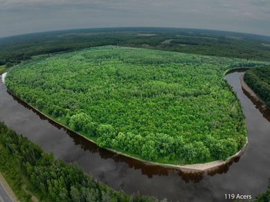 Amazing opportunity to own 119 acres of prime wooded real estate - photo 7