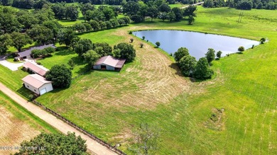 Discover peaceful country living in the heart of the Gillsburg - photo 48