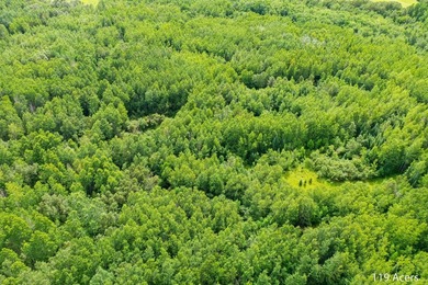 Amazing opportunity to own 119 acres of prime wooded real estate - photo 8
