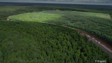 Amazing opportunity to own 119 acres of prime wooded real estate - photo 10