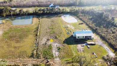 (private lake, pond, coastal) Lot For Sale in Maurice Louisiana