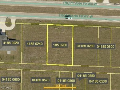 Lake Lot For Sale in Cape Coral, Florida
