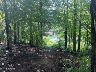 Lake Acreage For Sale in Sharps Chapel, Tennessee