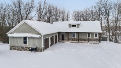 Lake Home For Sale in Big Rapids, Michigan