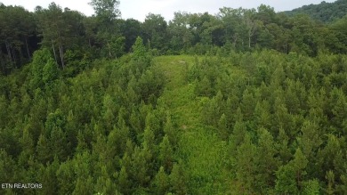 Lake Acreage For Sale in Vonore, Tennessee