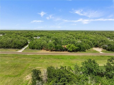 Lake Lot For Sale in Somerville, Texas