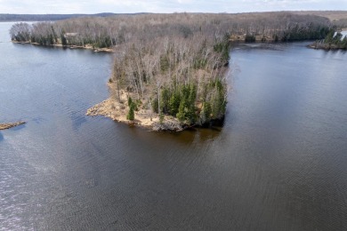 McCullough Lake Acreage For Sale in Presque Isle Wisconsin