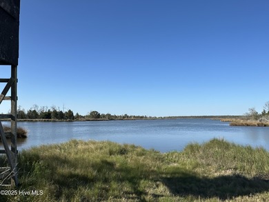 Pamlico River Acreage For Sale in Scranton North Carolina