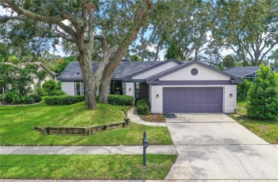 (private lake, pond, creek) Home For Sale in Holiday Florida