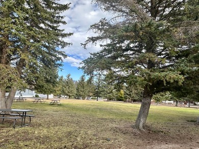 Come bring your RV and enjoy Bear Lake!! Larger RV LOT in - photo 13