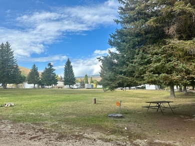 Come bring your RV and enjoy Bear Lake!! Larger RV LOT in - photo 15