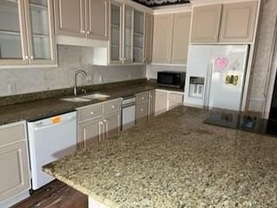 1145 Dominion Dr E. located in The Dominion Subdivision features - photo 17
