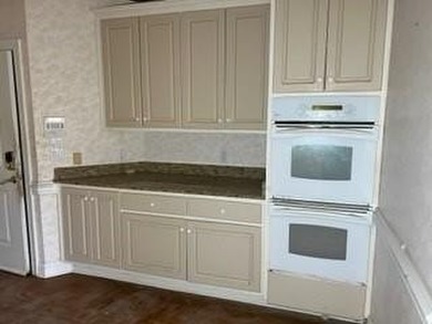 1145 Dominion Dr E. located in The Dominion Subdivision features - photo 21