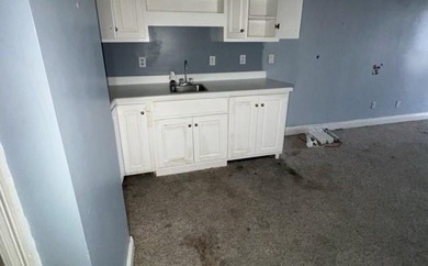1145 Dominion Dr E. located in The Dominion Subdivision features - photo 33