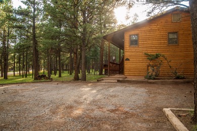 Beautiful getaway in Angel Fire only 1,7 mi from the ski basin & - photo 30