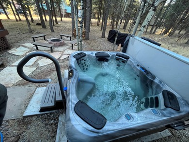 Beautiful getaway in Angel Fire only 1,7 mi from the ski basin & - photo 32